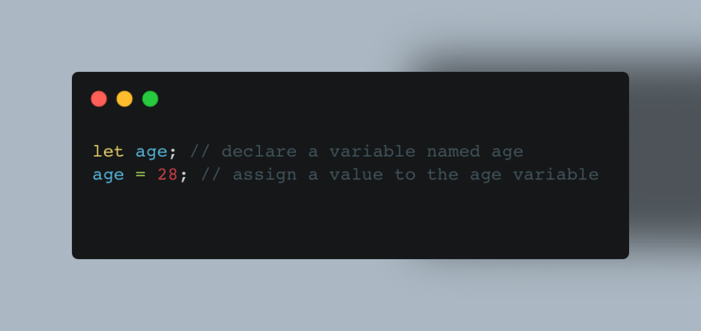 JavaScript Variables and Constants
